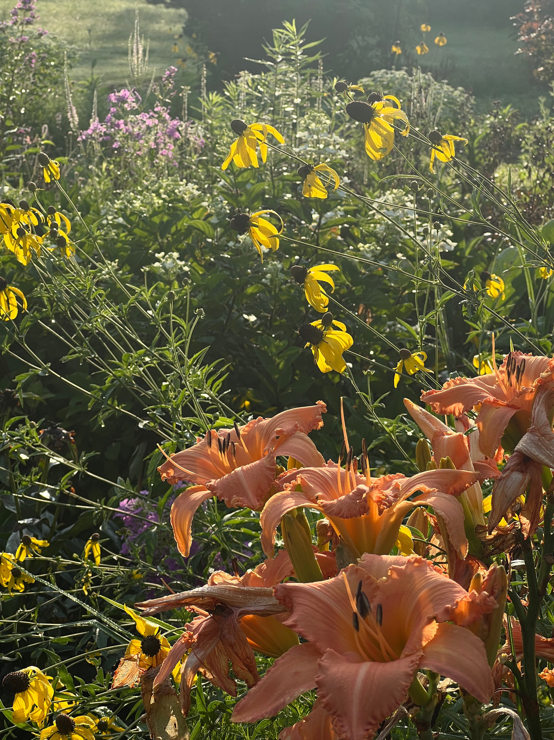 Summer Maintenance: A Season of Learning in the Garden