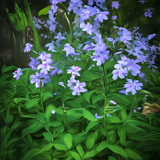 Creating Woodland-Like Soil for a Flourishing Garden: Tips on Using Organic Matter for Soil Enrichment