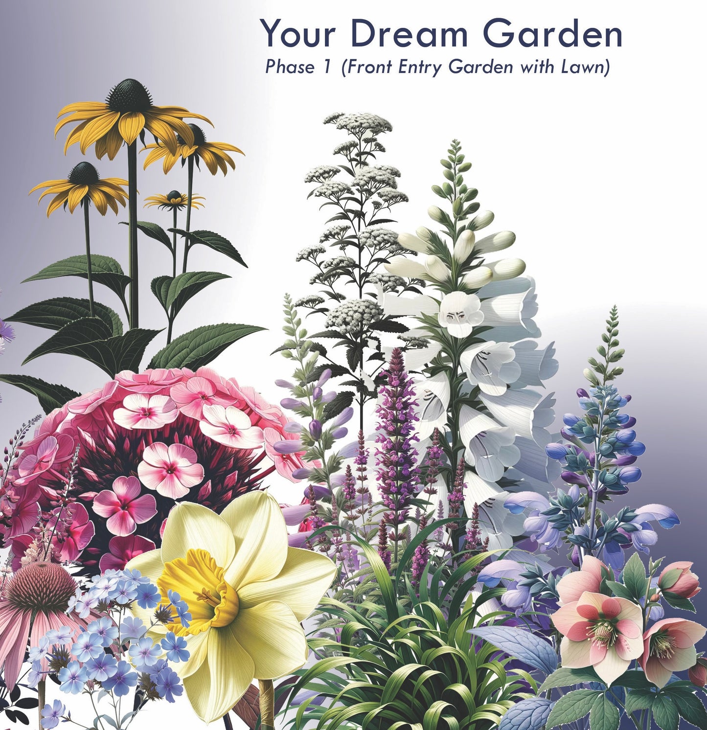 Garden Design Virtual Consultation