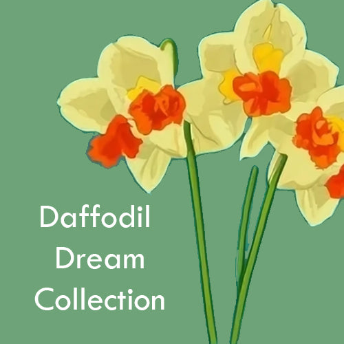 Daffodil Dream Collection