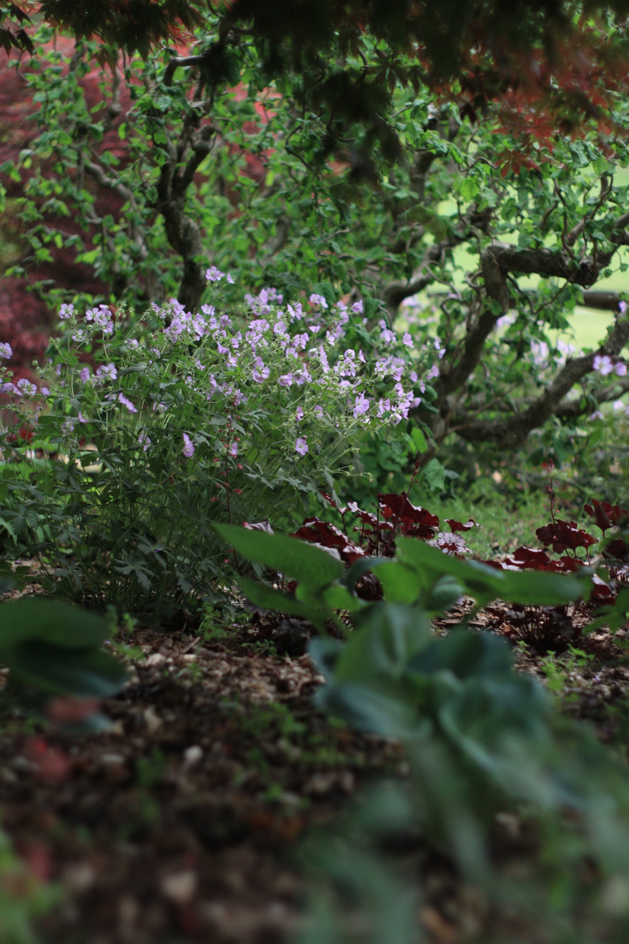 Garden Design