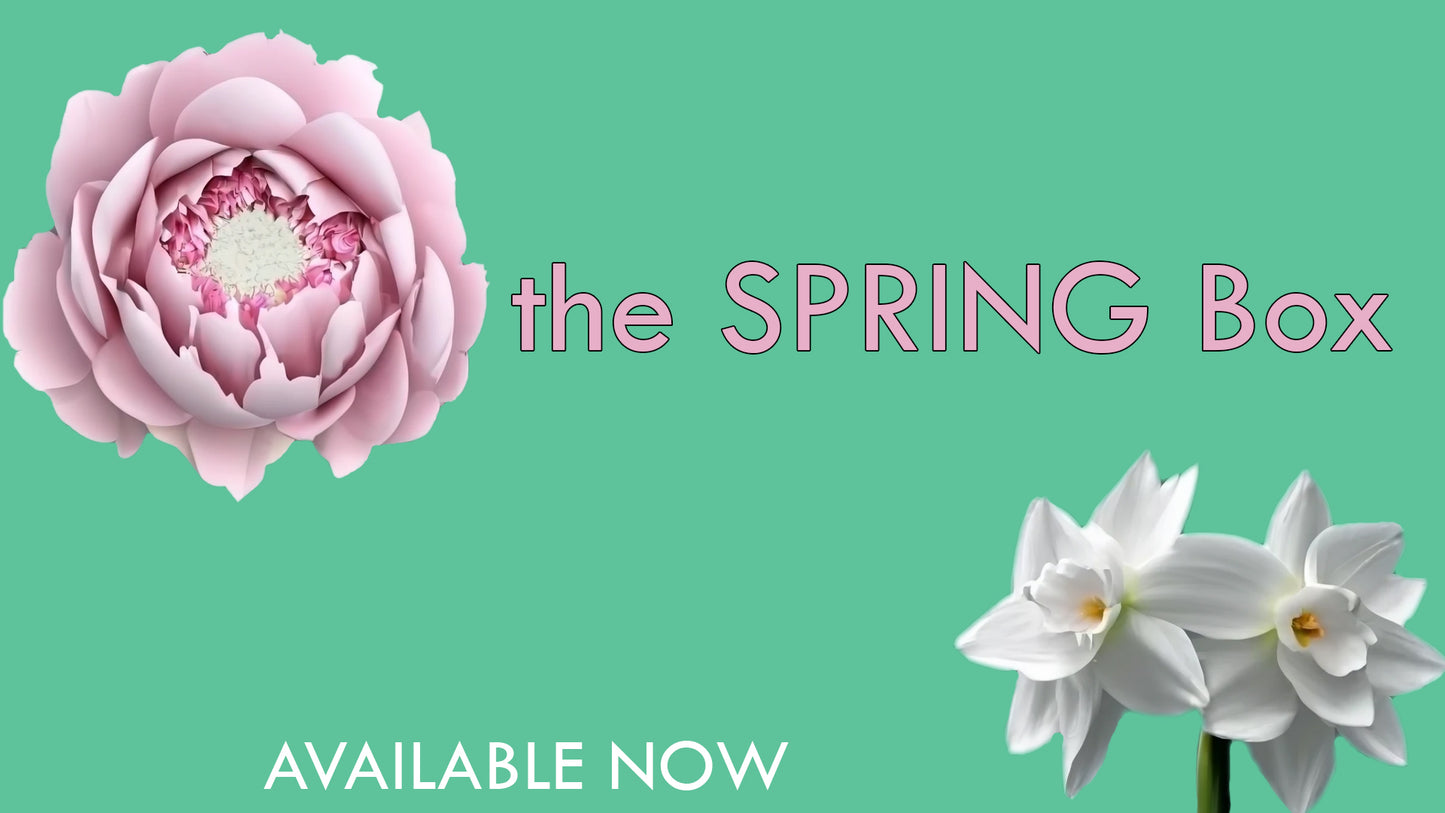 the SPRING Box