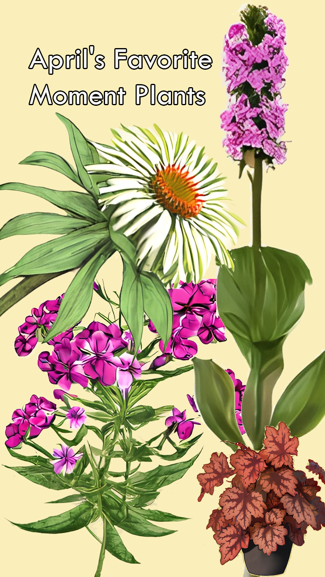 April's Favorite Moment Plants