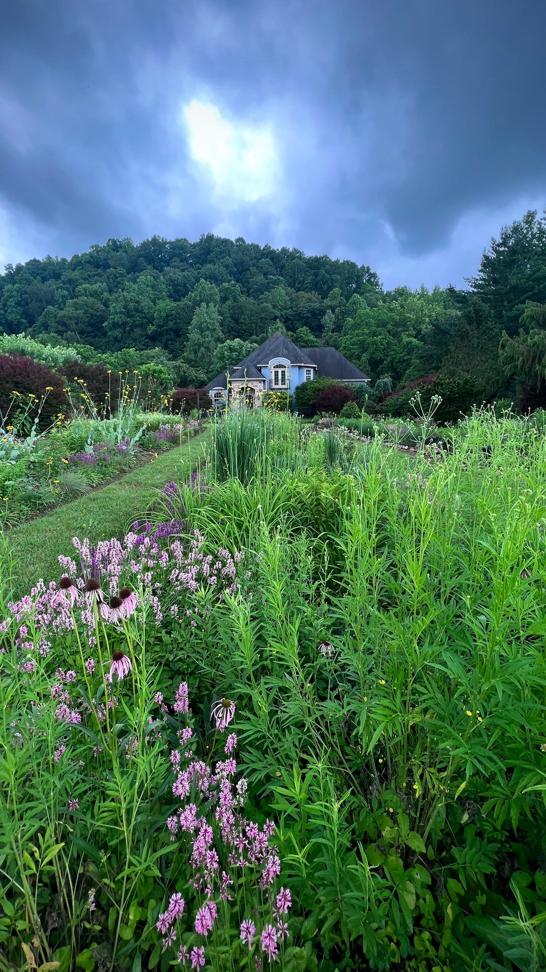 The Summer Turn at Natchez Glen