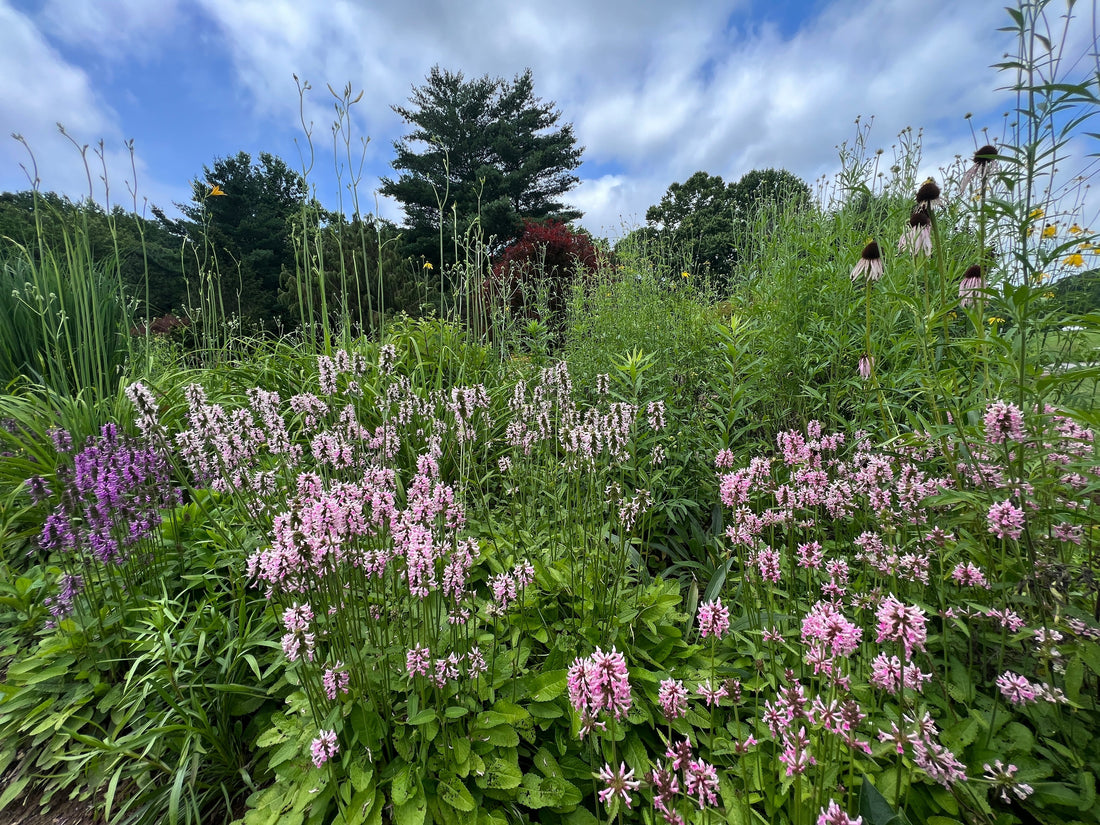 Gardens Are Not Nature