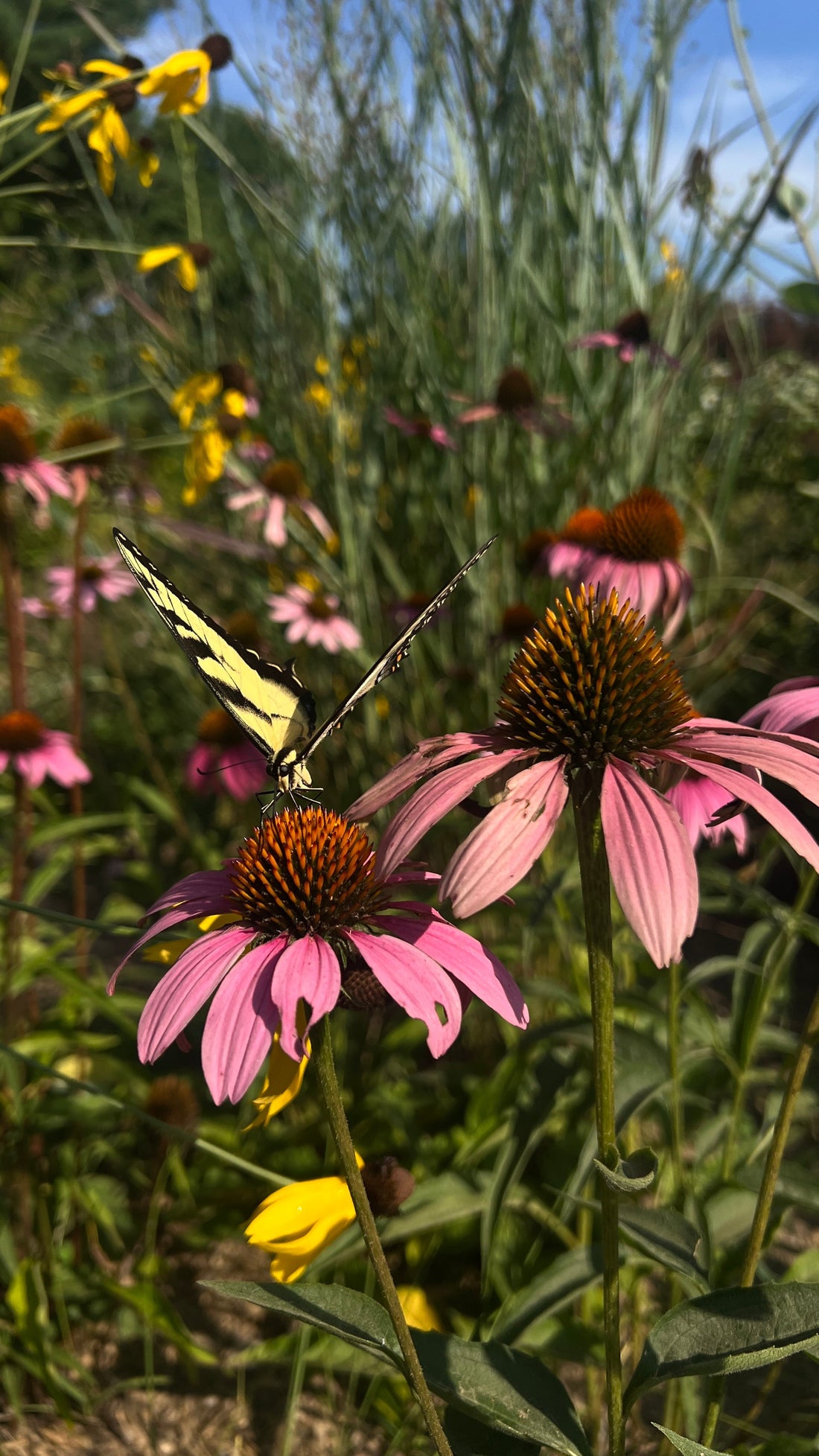 We’re Not Nature Makers. We’re Garden Makers.