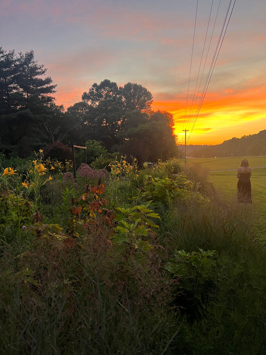 My Faith in Gardens