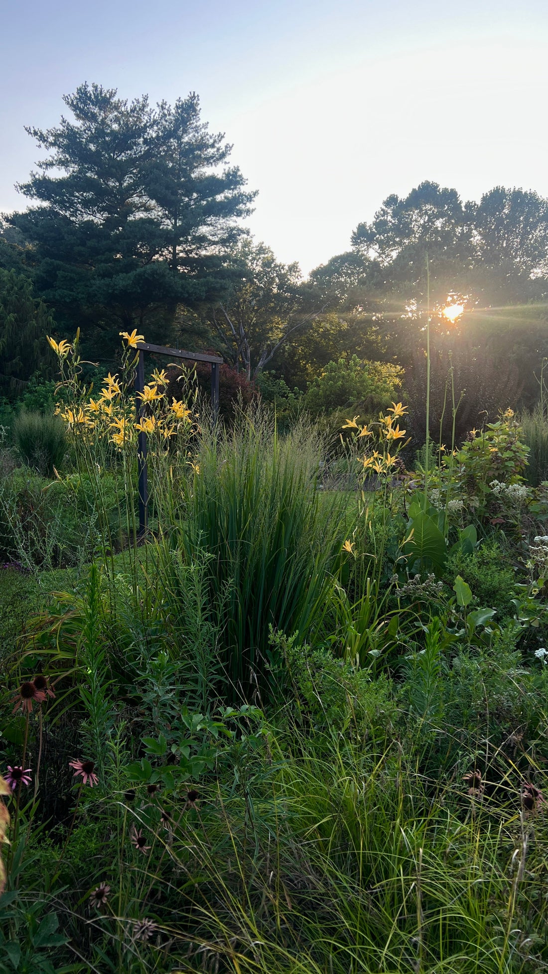 Why Don’t I See More Gardens?