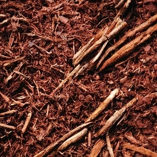 Challenging the Mulch Narrative: Why We Need to Rethink Our Gardening Choices