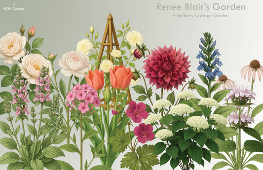 Renee Blair – A HillBetty Cottage Garden Design (50% Deposit)