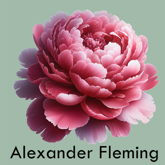 Peony 'Alexander Fleming'