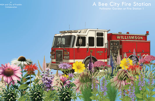Fire Station 1 Sanctuary Garden – Plant Materials & Garden Stewardship